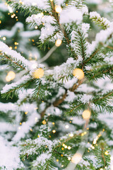 Snow-covered pine tree with warm festive lights in winter scene. Festive composition, mockup for a New Year's card