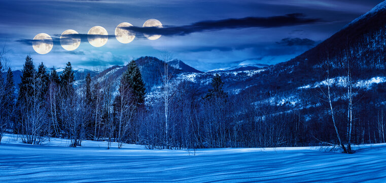 beautiful panorama of mountains in winter at night. leafless birch trees on snow covered meadow in full moon light. wonderful landscape in cold season. background for fake news or conspiracy concepts