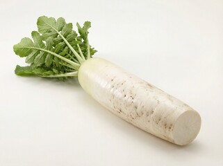 Fresh Daikon Root Vegetable Food Photo