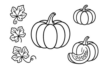 Hand drawn outline set of autumn pumpkins and squash with leaves and vines