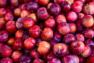 Bunch of plums are piled on top of each other