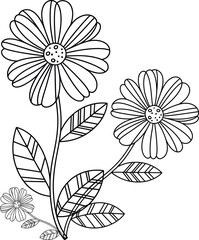 Clean and simple hand drawn illustration featuring delicate daisy like flowers with elegant foliage. Ideal for colouring books, patterns, invitations, and various graphic design elements.