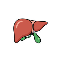 A realistic human heart organ vector