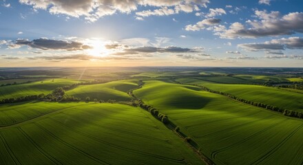 Fototapeta premium Expansive rolling green agricultural fields stretch toward a bright setting sun under a partly cloudy sky.
