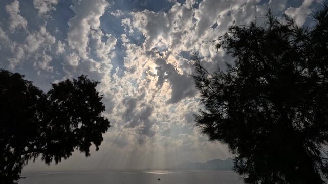 scenic view of trees with drifting clouds