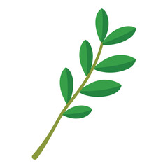 Fresh green leaf and branch isolated on white background with nobody in a botany macro shot