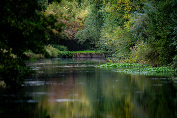 reflection in the water