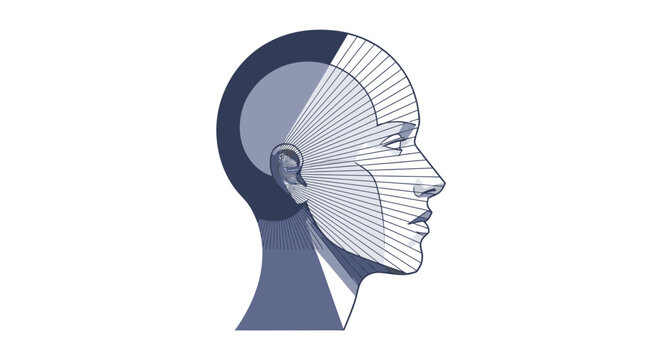 Drawing Of A Human With The Head Represented