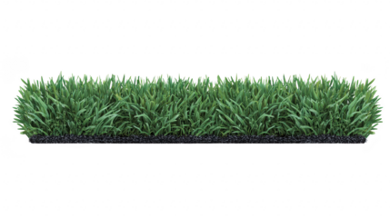 Green grass border with fresh, dense blades, isolated on transparency background, perfect for landscaping, garden design, or nature themed projects, evoking natural and vibrant atmosphere