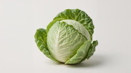 Obraz premium Fresh cabbage on a plain background. Healthy vegetables, fresh produce, and leafy greens. Natural food, nutrition, and agriculture concept.