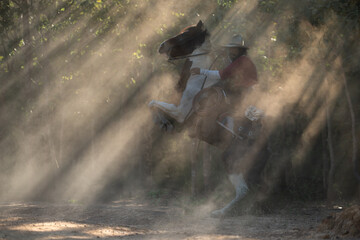 A cowboy riding a horse through dramatic rays of sunlight shining between the trees