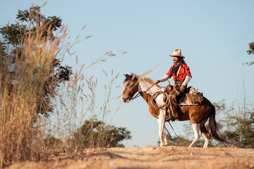 A cowboy on a rearing horse holding a revolver, capturing a classic and dramatic Wild West moment