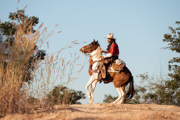 A cowboy on a rearing horse holding a revolver, capturing a classic and dramatic Wild West moment