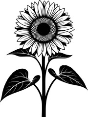 Bold Black and White Sunflower Vector Illustration, Detailed Floral Silhouette Clipart for Farm Logos, Decals, Engraving, or Vinyl Cutting Machines SVG Design.