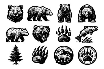 Fototapeta premium Wild bear emblems and nature icons in vintage woodcut style