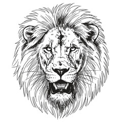 Majestic Lion Head Line Art Illustration