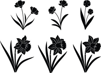 Spring flower silhouettes collection, black vector illustration of tulip and daffodil plants for floral design, garden art, and decoration projects
