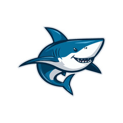 Shark Cartoon Design Very Cool