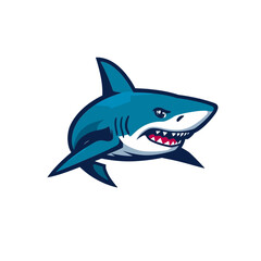 Shark Cartoon Design Very Cool