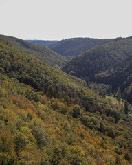 Fototapeta premium Forest-covered hills and valley landscape in Germany