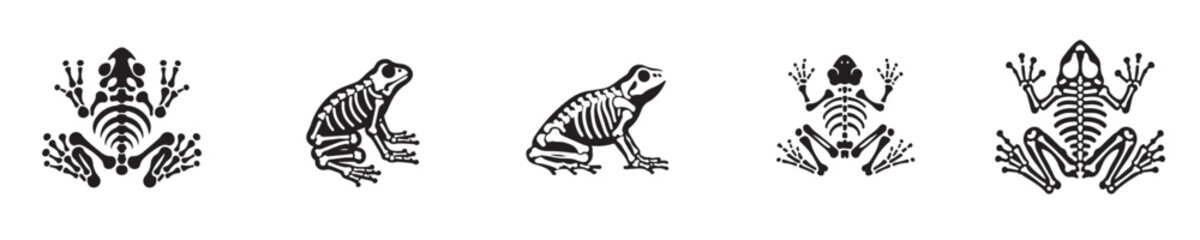 frog skeleton silhouette vector
