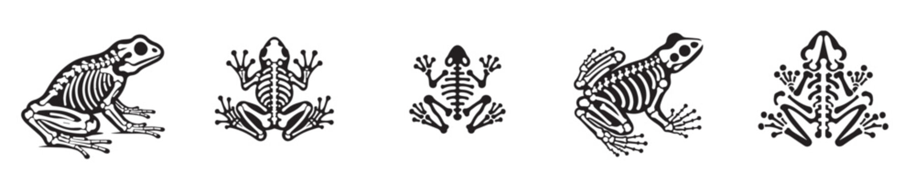 frog skeleton silhouette vector