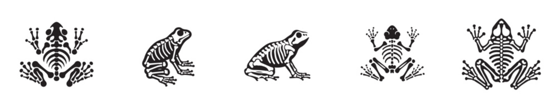 frog skeleton silhouette vector