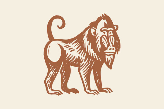 Baboon mandrill naive sketch line vector illustration