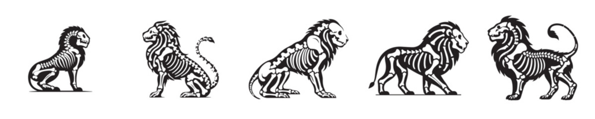 vector lion bones skeleton silhouette