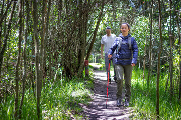 Woman hiking in forest using trekking pole