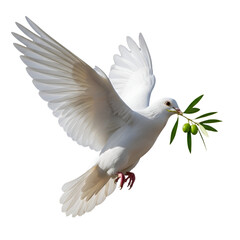 Obraz premium Peace Dove Flying with Olive Branch