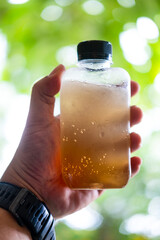 Lemon honey mix soda in take away plastic bottle against nature background