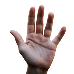 Open hand reaching out on white background  