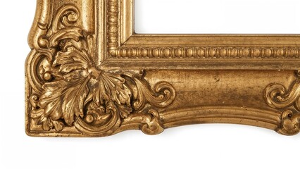 Ornate corner of a gold decorative frame with detailed leaf and scroll motifs.