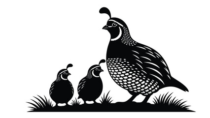 Black and white silhouette of California Quail family, adult bird with two chicks standing in grass, detailed vector art, wildlife emblem design, isolated on white background