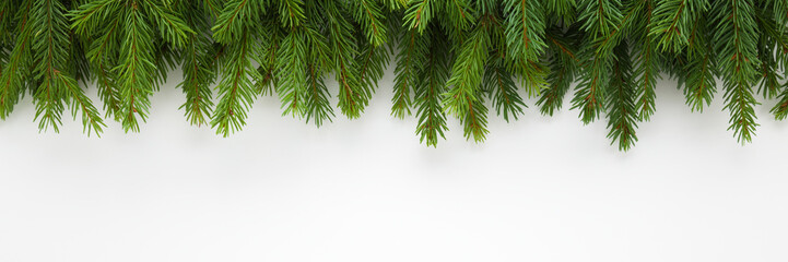 Green natural fresh fir branches on light gray table background. Closeup. Christmas decoration. Wide banner. Empty place for text. Top down view.