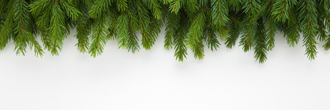 Green natural fresh fir branches on light gray table background. Closeup. Christmas decoration. Wide banner. Empty place for text. Top down view.