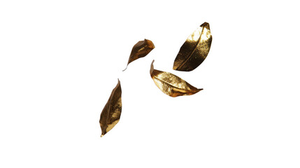 Golden dried leaves isolated on transparent background, autumn nature element, elegant decoration, seasonal botanical design, shiny metallic texture, creative fall concept