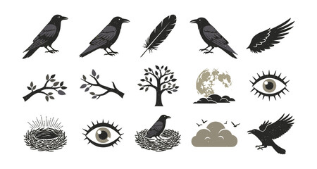 Obraz premium Raven silhouette collection with nature elements and celtic symbols
