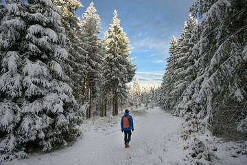 Wanderung durch den verschneiten Th&uuml;ringer Wald