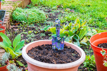 Colourful trowel in a garden bucket, gardening or self sufficiency concept