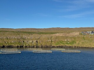 A salmon fish farm with lots of fish enclosures on cages. Fish industry in the Faroe Islands.
