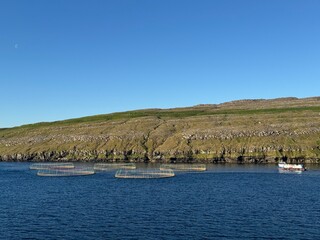 Salmon farms in the fjords of the Faroe Islands.
