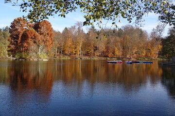 Steinbrücker Teich bei Darmstadt