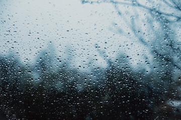 Raindrops on the window.