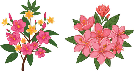 Botanical Vector Illustration of Pink and Red Flowers with Green Leaves for Elegant Design, Decor, and Nature Themes
