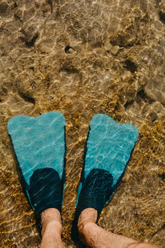 Men's legs in flippers in the sea.