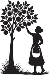 Silhouette of Woman Gathering Apples from Tree