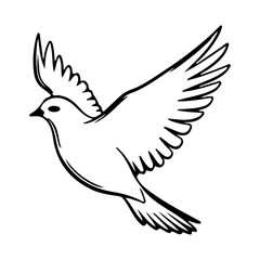 Obraz premium birds of peace , dove silhouette icon