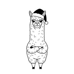 Naklejka premium A grumpy llama dons a festive holiday hat, standing with arms crossed, exuding an attitude that’s both quirky and charming. vector illustration